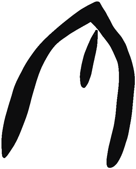 Image of the occurrence